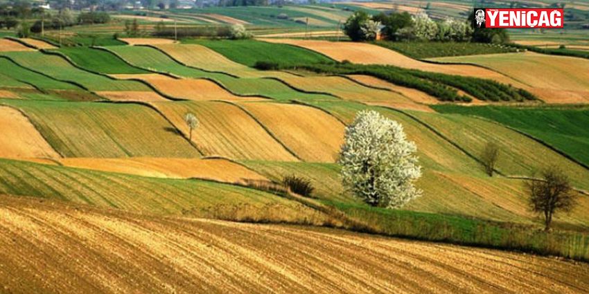 DOMATESİ BİLE İTHAL EDECEĞİZ