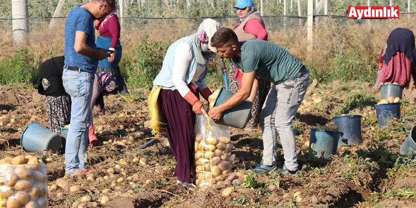 BAKANLIK GEÇİCİ ÇÖZÜM YOLUNA GİTTİ