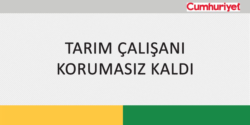 TARIM ÇALIŞANI KORUMASIZ KALDI
