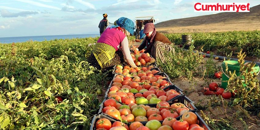 GIDADA ZİNCİR KOPABİLİR