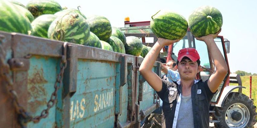 TARLADAN MARKETE GELENE KADAR 4’E KATLIYOR!