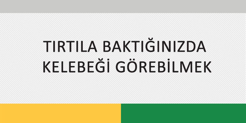 TIRTILA BAKTIĞINIZDA KELEBEĞİ GÖREBİLMEK