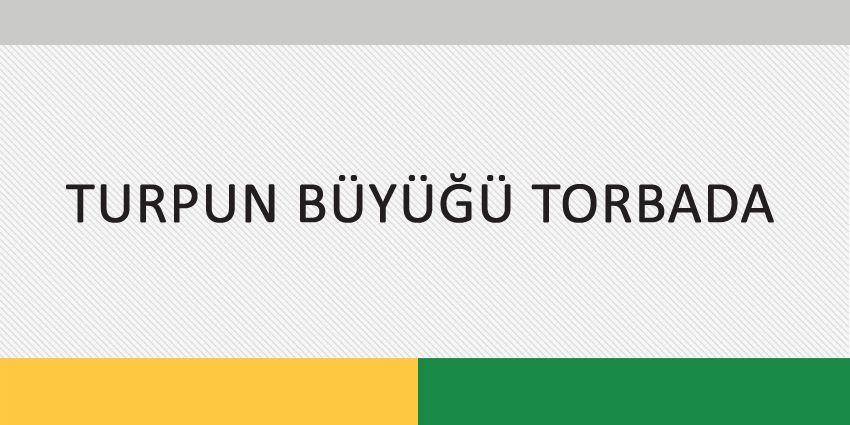 TURPUN BÜYÜĞÜ TORBADA