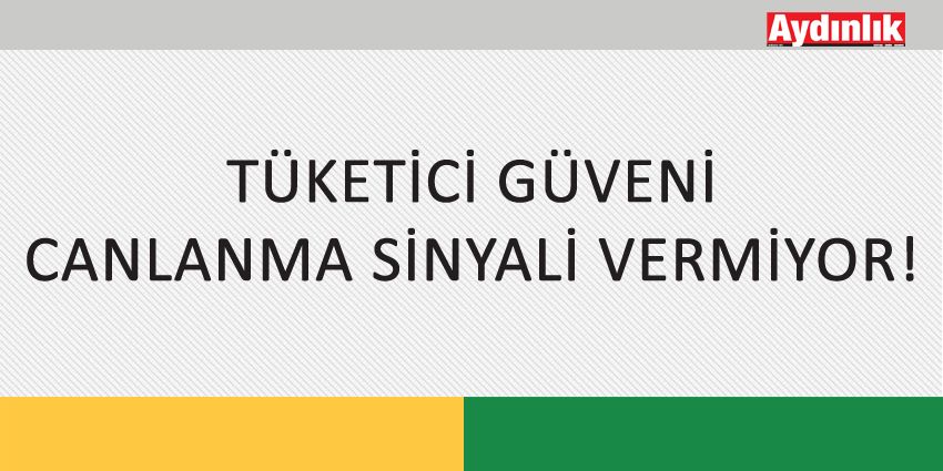 TÜKETİCİ GÜVENİ CANLANMA SİNYALİ VERMİYOR!