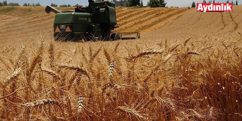 KARGO UÇAKLARI TALEBİ İÇİN ÇALIŞILIYOR