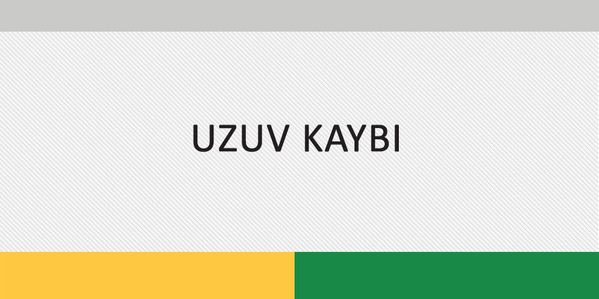 UZUV KAYBI