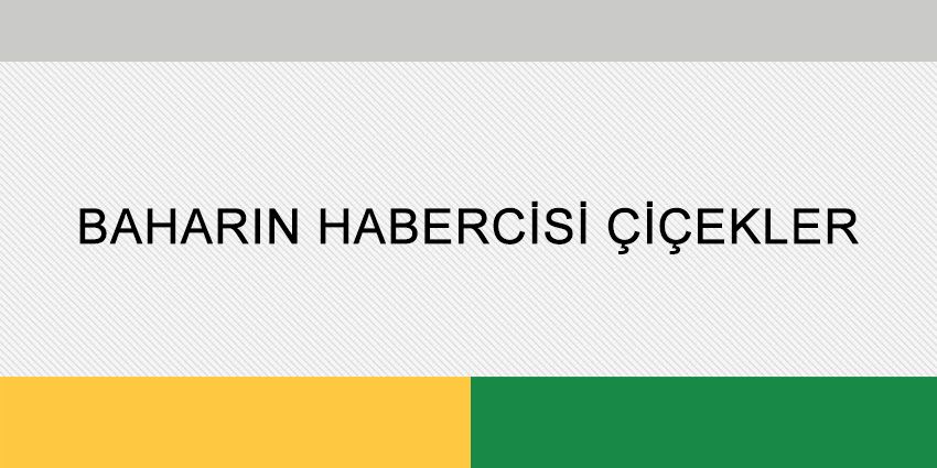 BAHARIN HABERCİSİ ÇİÇEKLER