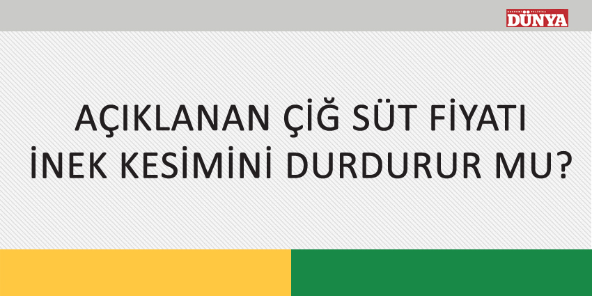 AÇIKLANAN ÇİĞ SÜT FİYATI İNEK KESİMİNİ DURDURUR MU?