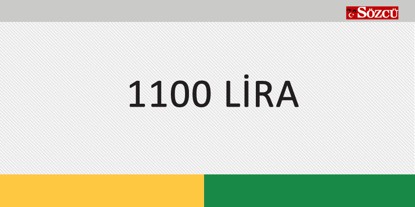 1100 LİRA