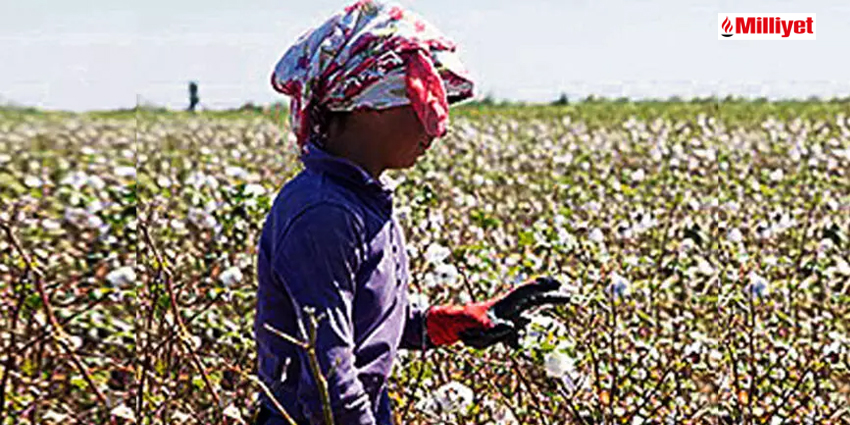 888 ÇOCUK İŞÇİ YAŞAMINI YİTİRDİ