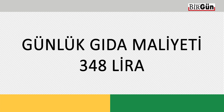 GÜNLÜK GIDA MALİYETİ 348 LİRA