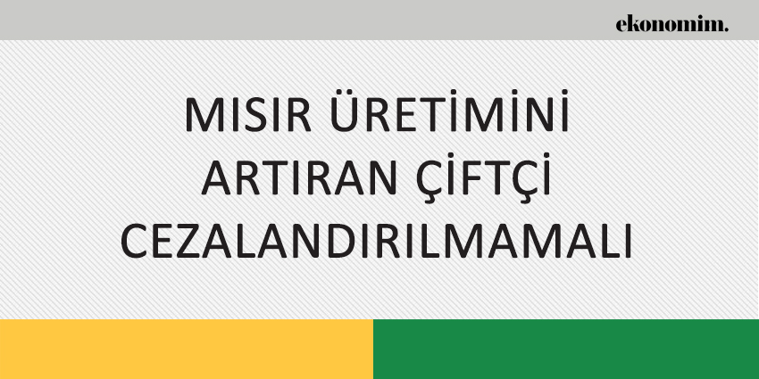 MISIR ÜRETİMİNİ ARTIRAN ÇİFTÇİ CEZALANDIRILMAMALI
