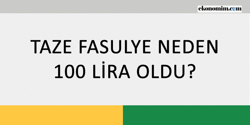 TAZE FASULYE NEDEN 100 LİRA OLDU?