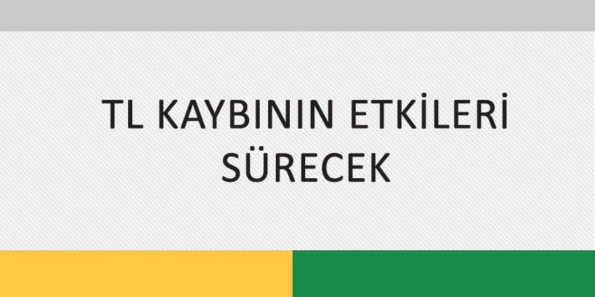 TL KAYBININ ETKİLERİ SÜRECEK