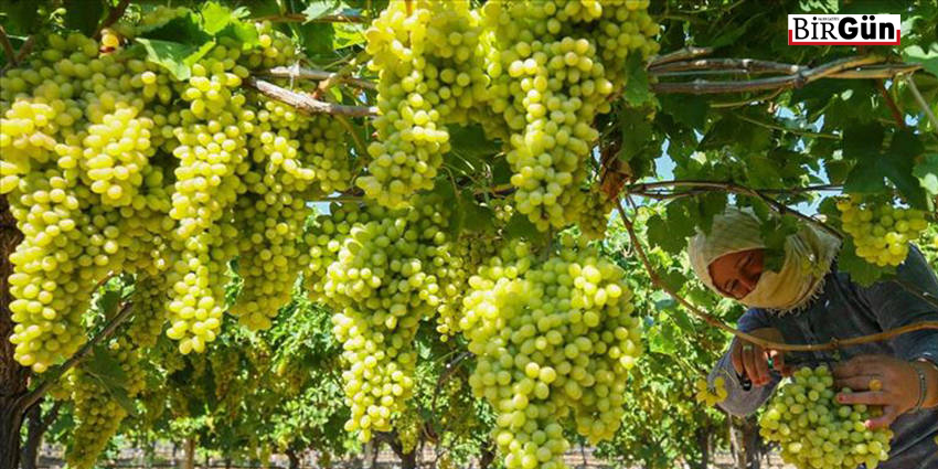 YÜKSEK MALİYETE YETERLİ FİYAT VERİN