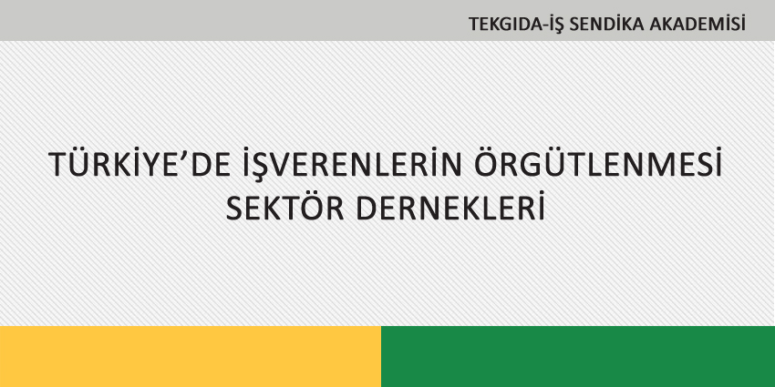 TÜRKİYE’DE İŞVERENLERİN ÖRGÜTLENMESİ – SEKTÖR DERNEKLERİ