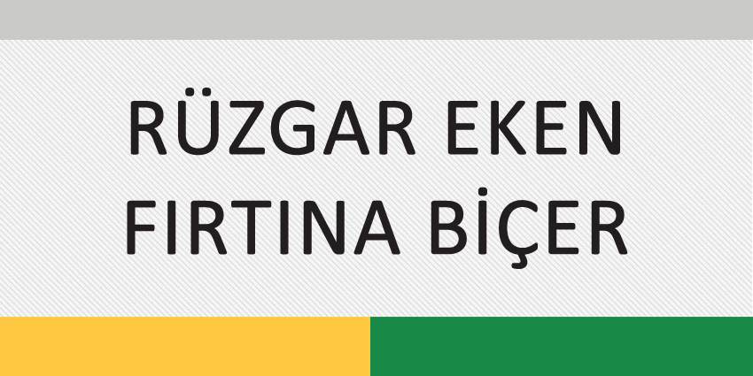 RÜZGAR EKEN FIRTINA BİÇER