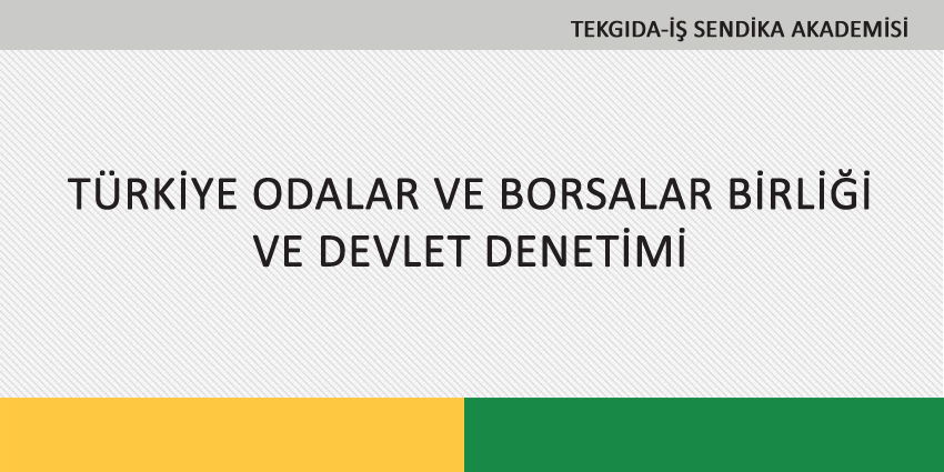 TÜRKİYE ODALAR VE BORSALAR BİRLİĞİ VE DEVLET DENETİMİ