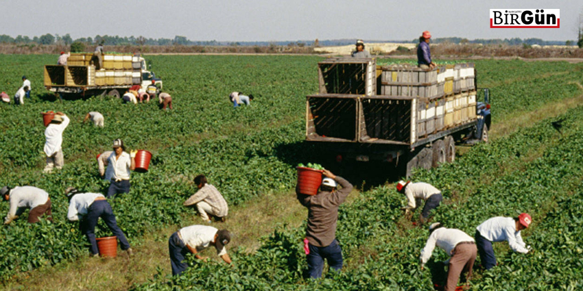 GIDAYA ERİŞİMDE TEHLİKE ÇANLARI