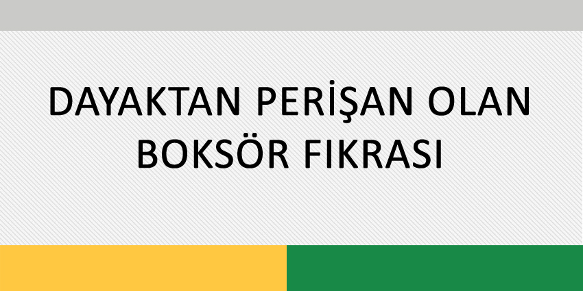 DAYAKTAN PERİŞAN OLAN BOKSÖR FIKRASI