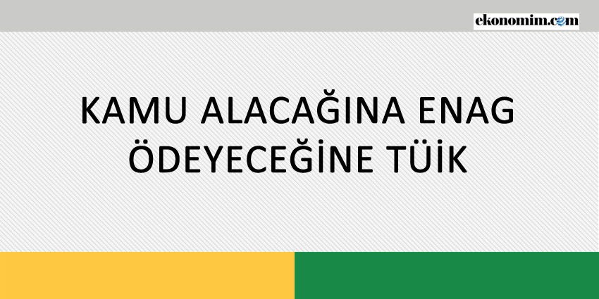 KAMU ALACAĞINA ENAG, ÖDEYECEĞİNE TÜİK