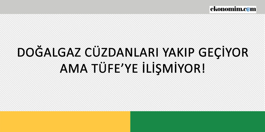 DOĞALGAZ CÜZDANLARI YAKIP GEÇİYOR AMA TÜFE’YE İLİŞMİYOR!