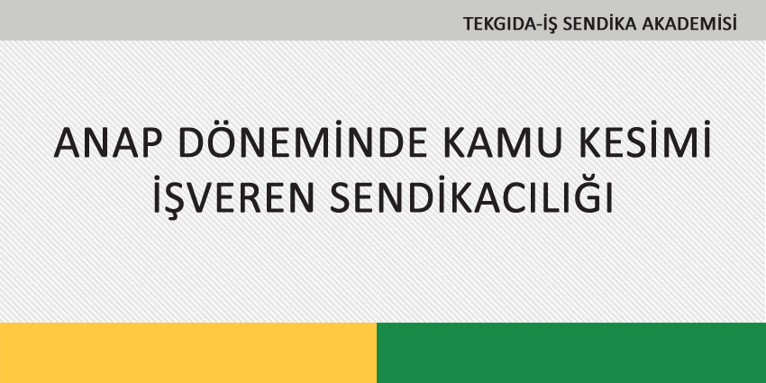 ANAP DÖNEMİNDE KAMU KESİMİ İŞVEREN SENDİKACILIĞI