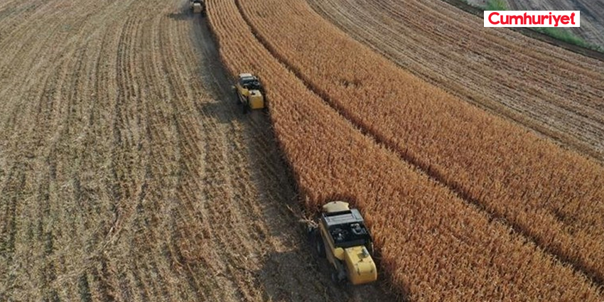 TARIM ÜFE OCAKTA ARTTI