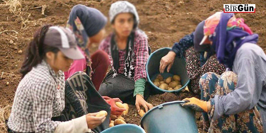 BÜTÇEDEN KESTİLER