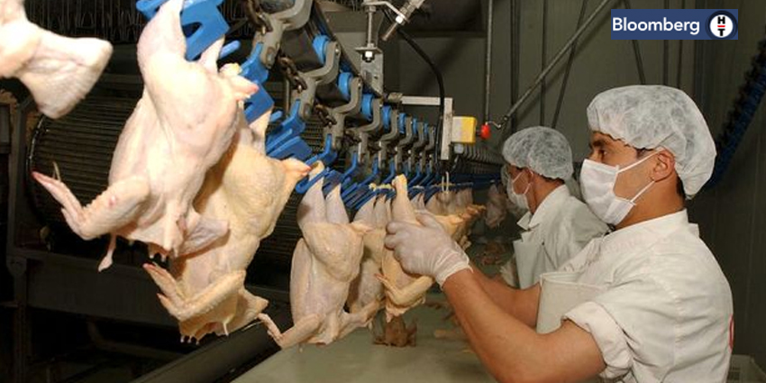 KANATLI ETİ İHRACATINA KISITLAMA GETİRİLDİ