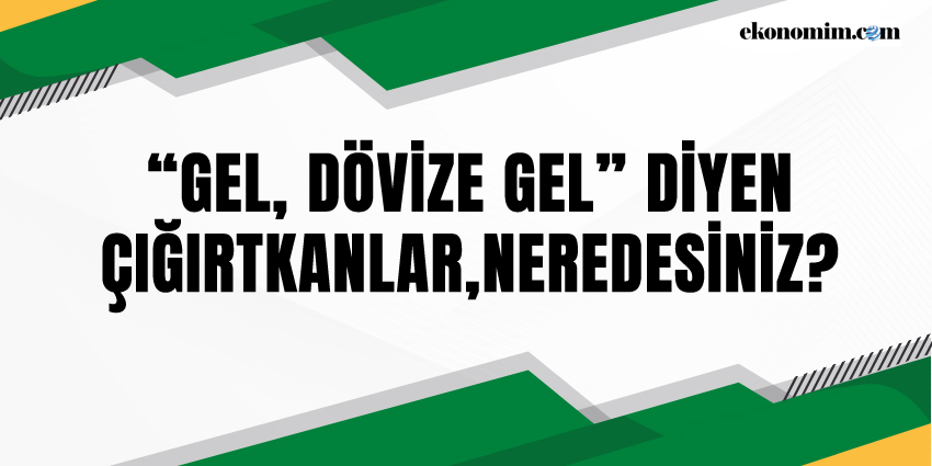 “GEL, DÖVİZE GEL” DİYEN ÇIĞIRTKANLAR, NEREDESİNİZ?