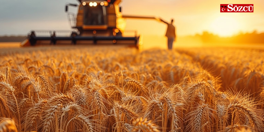 TARIMDA ÜRETİCİ ENFLASYONU MARTTA YÜZDE 61,87 OLDU