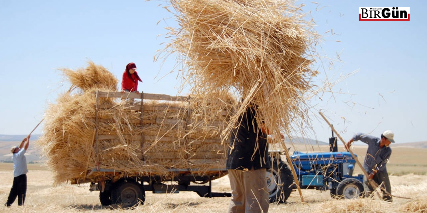 YÜKSEK GIDA FİYATLARI KAÇINILMAZ
