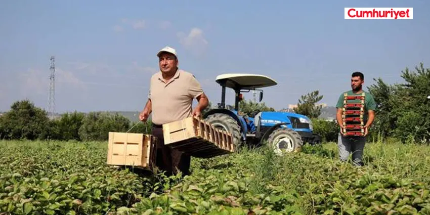 ZİRAİ DON İLE TARIM DESTEKLERİ YETERSİZ KALDI: ‘DAĞ FARE DOĞURDU’