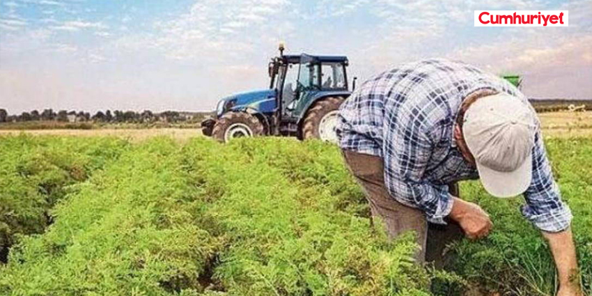 TARIMSAL ÜRETİMDE ALARM: DIŞA BAĞIMLILIK GIDA GÜVENLİĞİNİ TEHDİT EDİYOR
