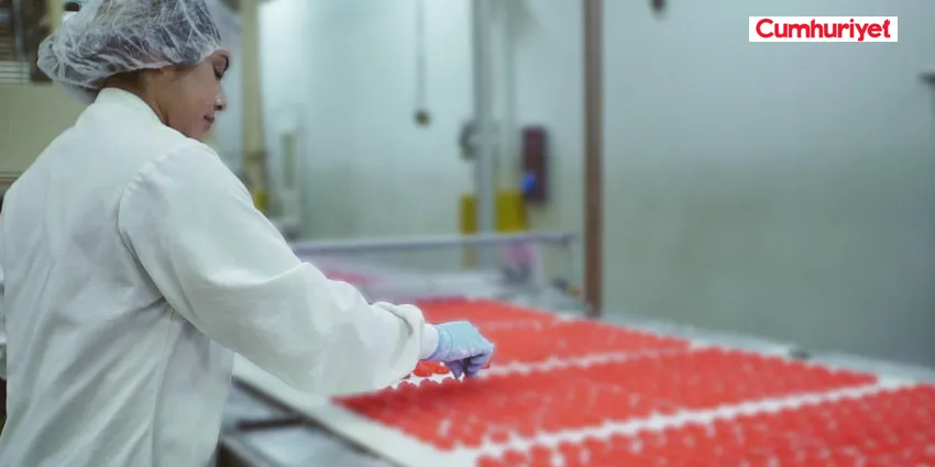 GIDA SEKTÖRÜNDE KAYIT DIŞI ÜRETİM VE İSTİHDAM SORUNU: HALK SAĞLIĞINI TEHDİT EDİYOR